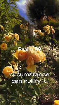 Psalm 89 - This Psalm Will Change How You See God’s Faithfulness