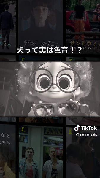 大好きなペットに、色を見せてあげたい！ | カラフル | #映画 #映画紹介 #アニメ