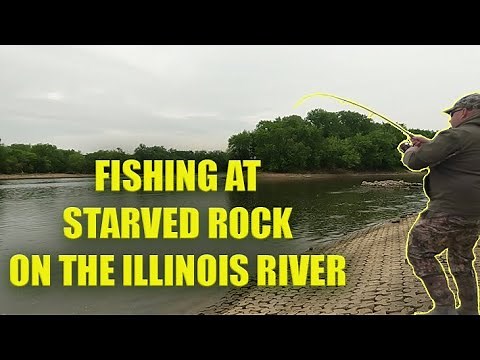 Illinois River Fishing at Starved Rock (Multi Species)