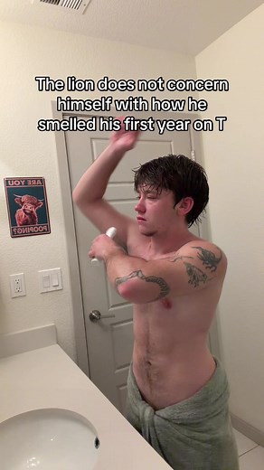 Understanding the FTM Transition Journey