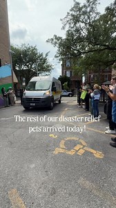 DISASTER RELIEF: Our second disaster relief transport arrived today from Austin Pets Alive!, delivering 9 dogs from flood impacted shelters in Texas. PAWS volunteers met up with Dog Is My CoPilot, Inc. who flew these pups into Waukesha County Airport in Wisconsin this morning, and brought them back to our Medical Center for the next chapter of their lives here in Chicago. Thank you to all who supported this effort, it means so much to us to be able to help in times of crisis, something we’ve bee
