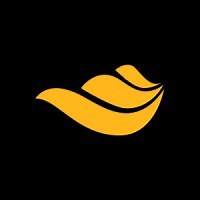 Ansys Fluids | LinkedIn