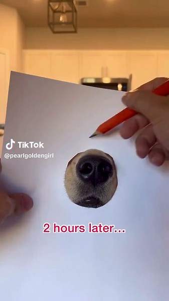 Do you think we did a good job?! #goldenretriever #dog #drawingchallenge ib@aguyandagolden