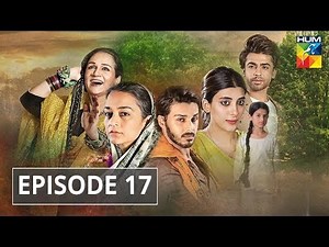 Udaari Episode 17 HUM TV Drama