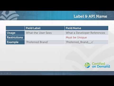 Overview of Fields and Field Types in Salesforce