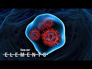 Is the Coronavirus ‘Airborne’ or Not?