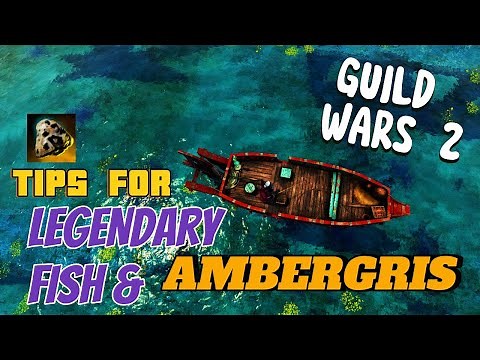 Tips for Getting Legendary Fish and Ambergris in Guild Wars 2