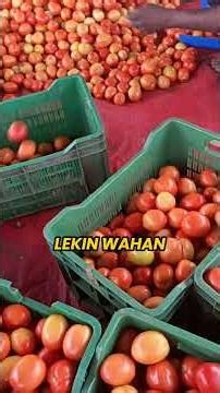 Tomato Powder Business Idea #business #idea #food