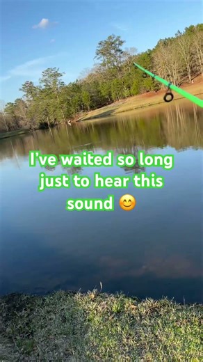 Spring 2026 fishing 🎣. #spring #spring2026 #fishing #explore #fypシ