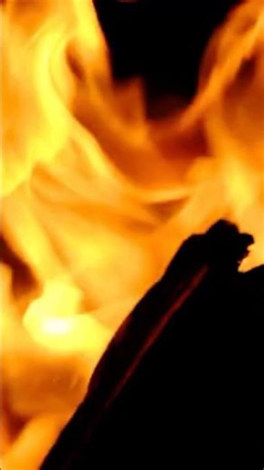 Firefighting Intensity — Hold the Wildfire Line (FS2024/FS2020)