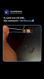 Il a jeté une clé USB… Elle contenait 7 500 Bitcoin.