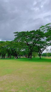 A perfect place where families and friends can gather and enjoy nature, coffee, and aircrafts! ✨ ✈️ Ready to have your Bloom and Brew Experience? We are opening on 11.30.22! 🤍☕️ Huge parking space, alfresco dining, here at the heart of Air Force City Park, Clark, Pampanga! #bloomandbrew #bloom #brew #coffee #cafe #airforcecitypark #clark | Bloom & Brew Cafe