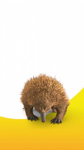 RACQ Roadside Assistance from just $80/year* *RACQ Everyday Lite billed yearly. Conditions, limits and exclusions apply. | RACQ