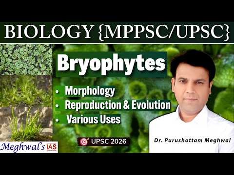 Bryophytes: Morphology, Reproduction, Evolution & Uses | Plant Kingdom | UPSC