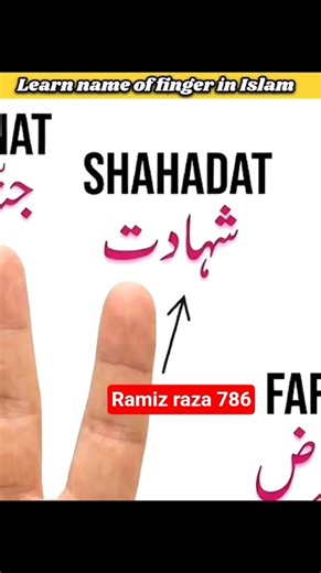 On Judgment Day, Your Fingers Will Testify! ✋ | Names of Fingers in IslamIslamicKnowledgeIsla#shorts