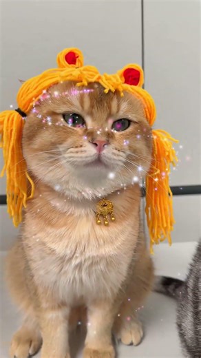 Moon Prism's Power Transformation: Breaking Free from Stubbornness