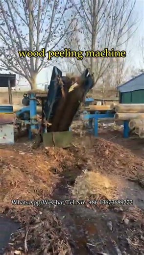 Vertical wood debarker with feeding platform #debarker #woodpeelingmachine #logdebarker