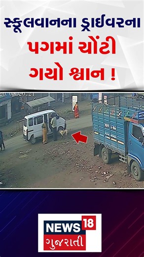 Surat News | સ્કૂલવાનના ડ્રાઈવરના પગમાં ચોંટી ગયો શ્વાન ! । Schoolvan | Gujarati News | N18S
