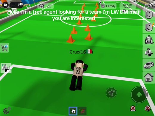 LW Free Agent Seeking Team Opportunity