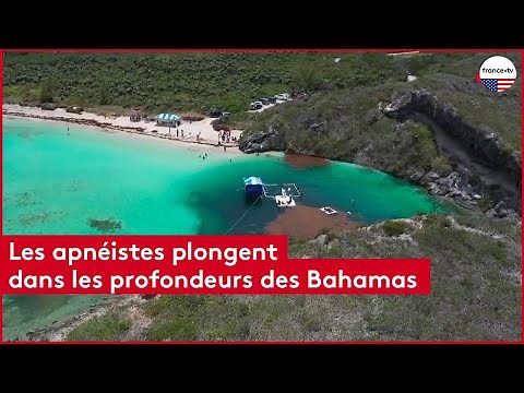 Bahamas : dans le Trou bleu de Dean, les apnéistes plongent à plus de 100 mètres de profondeur