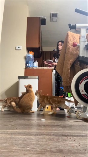 A Record Sneezing Fit 😂