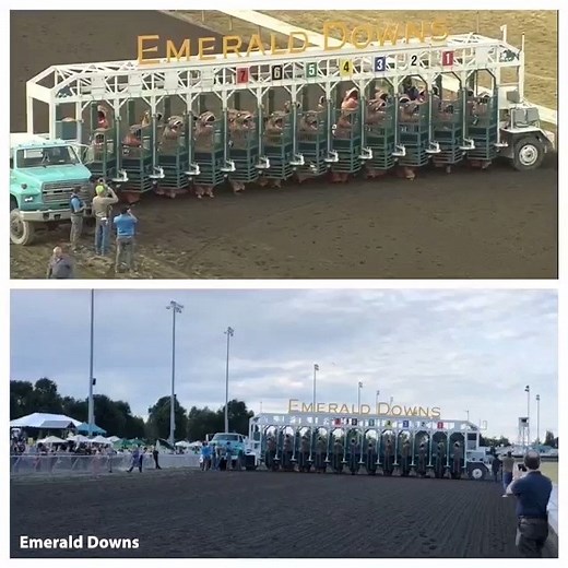 T-Rex races are everything! 😂😂😂 MORE: http://www.fox13news.com/news/t-rexes-race-to-the-finish-line-at-horse-track-in-hilarious-video | FOX 13 News - Tampa Bay