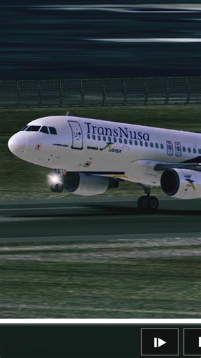 Smoothest Landing A320 #rfs #landing #airbus #aviation