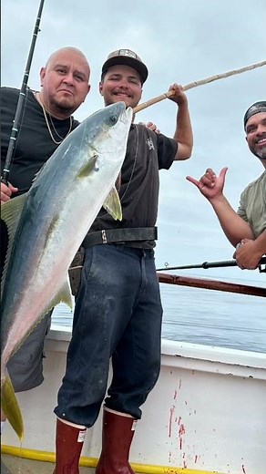 🔥 Right Kelp Patty = Dorado on Video + 68 Yellowtail on Pacific Voyager! 🎣