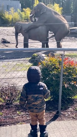 49K views · 1.9K reactions | Explore Earth on Reels | Facebook