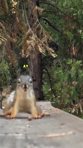 #stitch with @Tristan Maloney