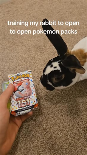 The Card Vault🏪™️ on Instagram: "Dm to order Available now! Send pm if interested, I will package and gets your tracking number immediately upon payment. Don't claim unless you're ready to pay as I will not hold #pokemon #pokemongo #pokemoncards #pokemontcg #pokemoncommunity shinypokemon pokemonart"