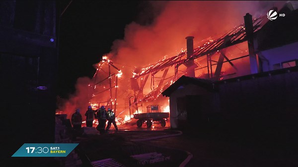 Großbrand auf Bauernhof: Mehrere Tiere sterben in Penzberg