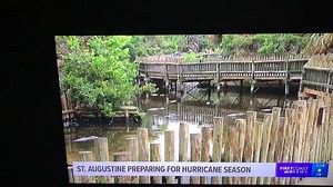 Alligator escapes? | St. Augustine Alligator Farm Zoological Park