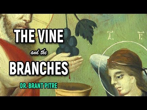 The Vine and the Branches