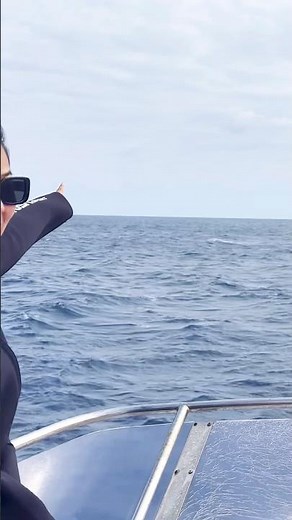奄美大島でホエールウォッチング！自然いっぱい世界自然遺産の島