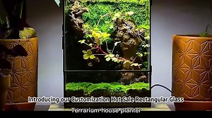 Customization Hot Sale Rectangular Glass Terrariums With Doors Geometric Containers Plant Terrariums for Wall Moss