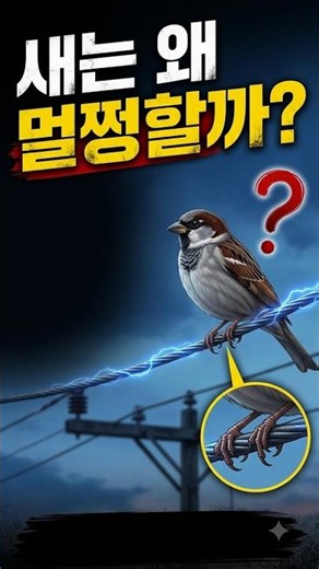 전깃줄 새 감전 | 전깃줄에 앉은 새, 왜 감전되지 않을까? 전위차의 원리