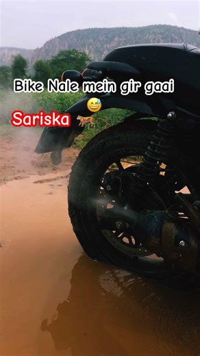 Sariska tiger reserve #tiger #animals #sariskanationalpark #viral #viralvideo