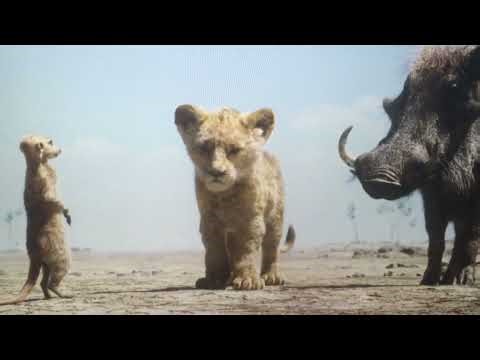 Animals(Cars) part 25 Back on the Map