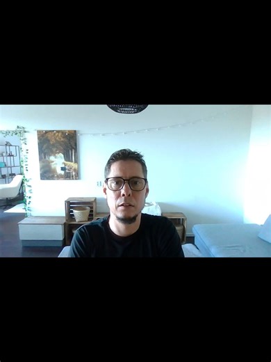 Understanding the Dutch Military Forces