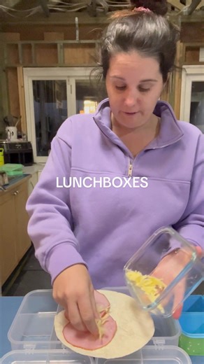 Easy and Fun Lunchbox Ideas for Kids | Bento Box and More