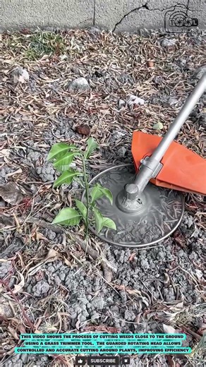 Ground Trimming Tool: Flat Disc Weed Control for Precise Soil-Level Clearing #innovationtools