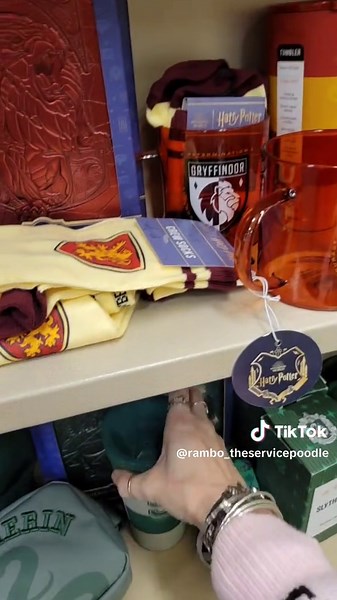 Team Gryffindor!🦁 And it's funny, for 10 years I thought I was in Slytherin House🐍 Turns out I took the wrong test. But it's ok, red looks better on me anyways! #harrypottertiktok #gryffindor #fyp #barnesandnoble #booktok