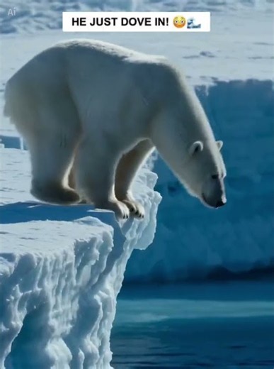 Polar Bear Dives Into the Arctic Ocean! 😱🐻‍❄️ #shorts