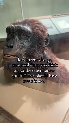 what could have been 💔 #evolution #ancienthumans #humans #anthropology #fyp