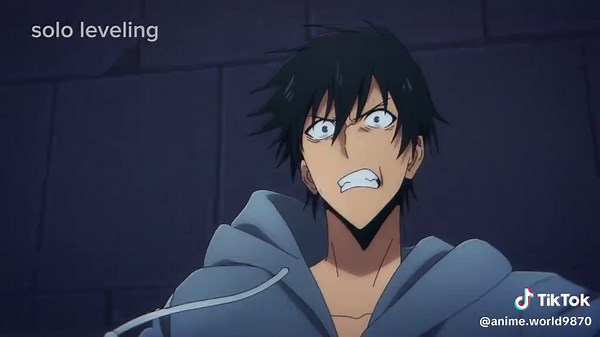 Sung Jin-Woo vs Igris: A Solo Leveling Showdown