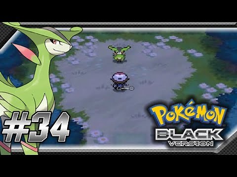 Pokemon Black Walkthrough Part 34: Capturing Virizion!