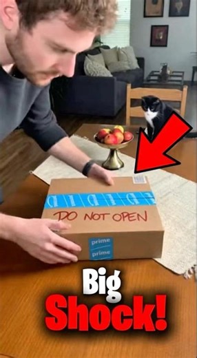 📦 Never open a parcel box!😬#shorts