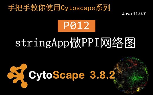 P012stringApp做ppi网络图