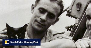 How Hong Kong stray cat became hero of Sino-British military clash